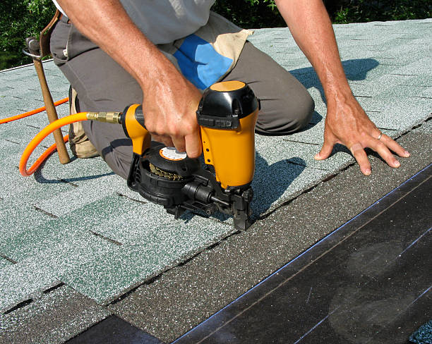 Best Roof Gutter Cleaning  in Vardaman, MS