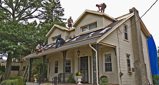 Best Storm Damage Roof Repair  in Vardaman, MS